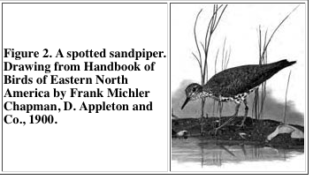 Figure2