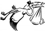 stork
