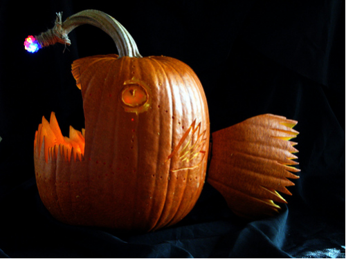 anglerjackolantern