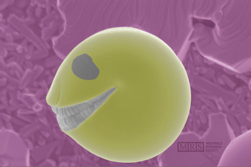 id16903_1