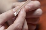 joint