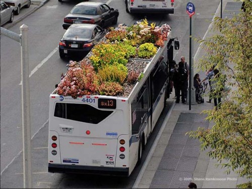 rooftopbus3