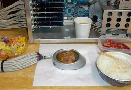 usb-meat-cooker-1-thumb-550xauto-49323