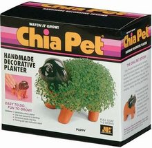 220_chia-puppy