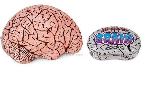 brain