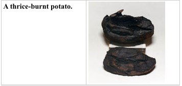 burntpotato1