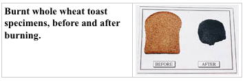 burnttoast