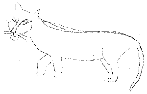 cat4