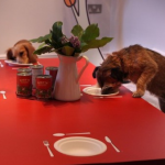 dogrestaurant