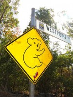 koalasign