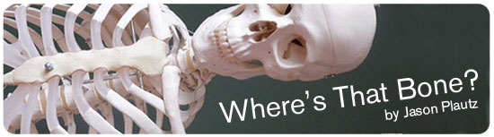 quiz_wheresthatbone
