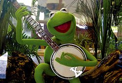 250_kermit-banjo