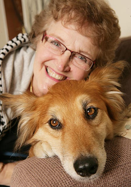 Dog_sniffs_cancer_394246251