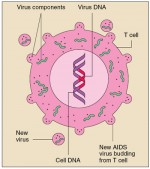 aidsVirus
