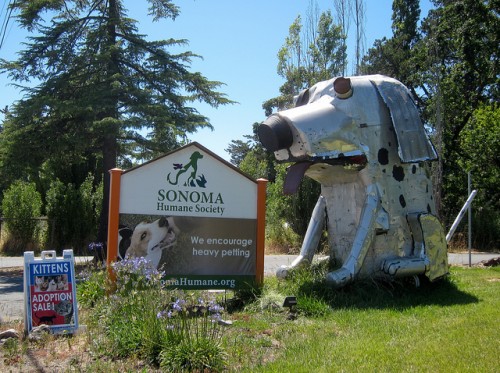 dogsculpture