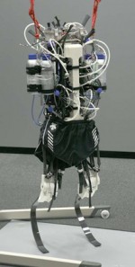 sprint-bot