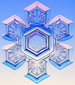 Stellar plate snowflake Stellar plate snowflake