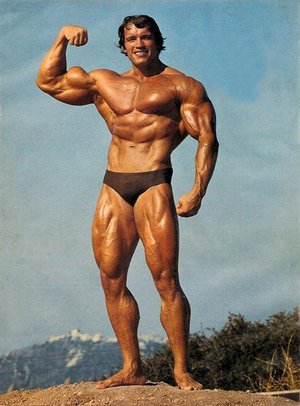 arnold schwarzenegger 2011 body. Would ody builders carry some