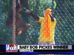 baby bob