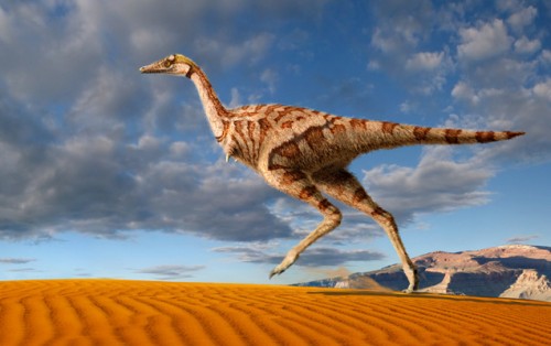 sn-dino