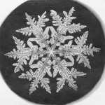 snowflake