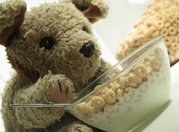 260_cerealbear