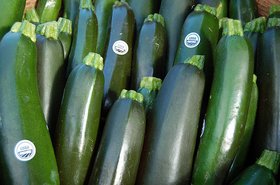 280_zucchini
