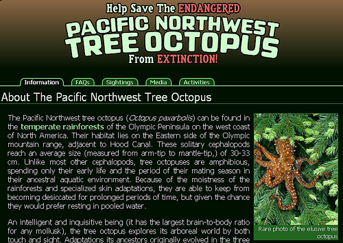 pacific northwest tree octopus hoax. Tree octopuses have eyesight