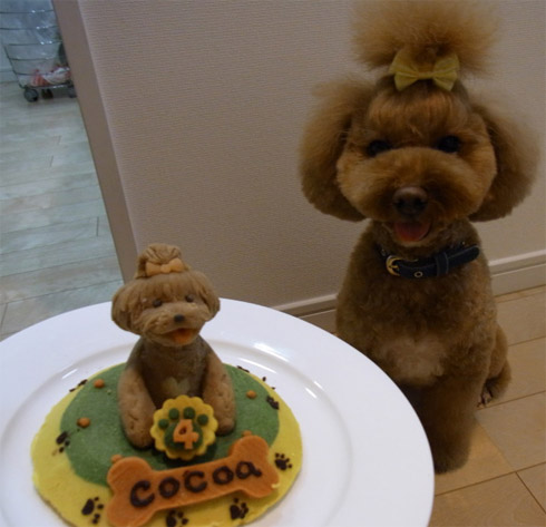 Puppy Birthday Cake on Tokyo Will Make A Birthday Cake For Your Dog Not Just A Dog Cake But A