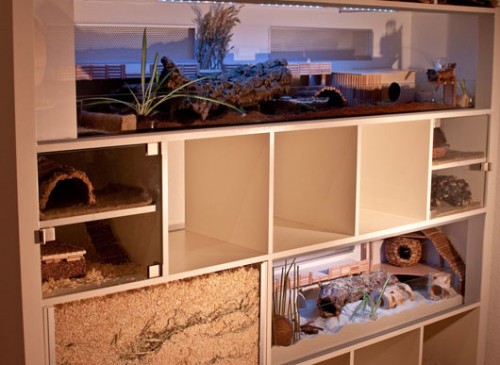 hamster-house-exterior