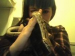 snake