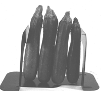zucchini3