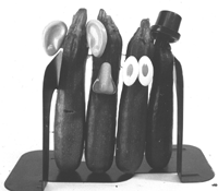 zucchini4