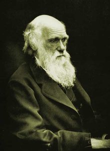 220_darwin
