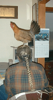 AIR180tom-vogl-hair