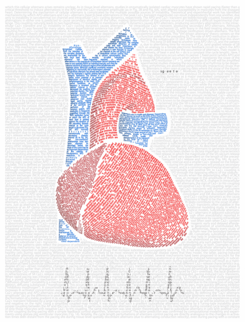 Stephen-_heart