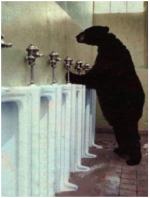 bearurinal