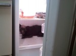 fridge
