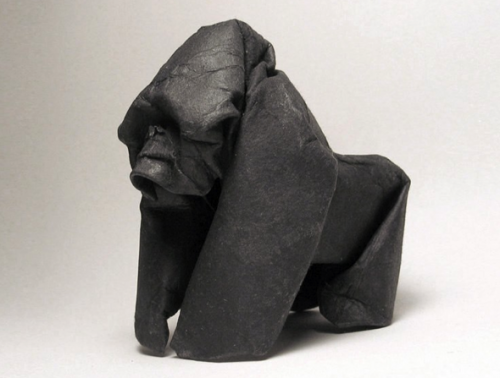gorilla