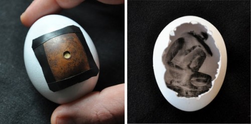 20110424egg2
