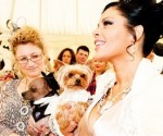 dog-wedding