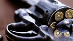 gun
