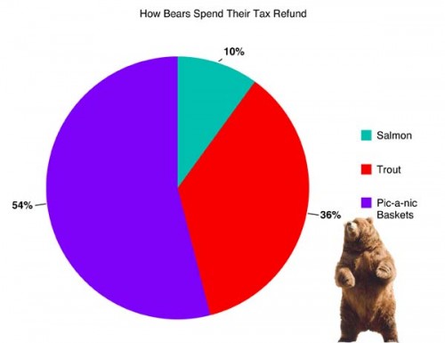 how-bears-spend-their-tax-refund