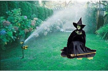 wickedwitch