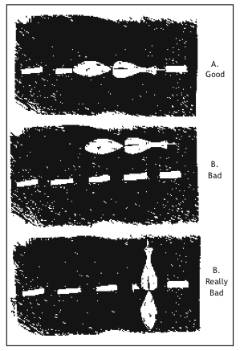 240figure1