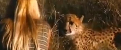 CheetahWoman