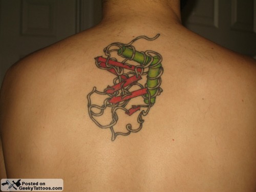 Protein-Tattoo-500x375