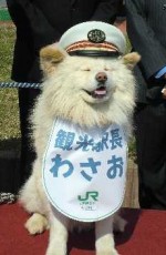 animal_stationmasters_3a