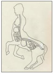 centaurfigure3