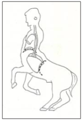 centaurfigure4